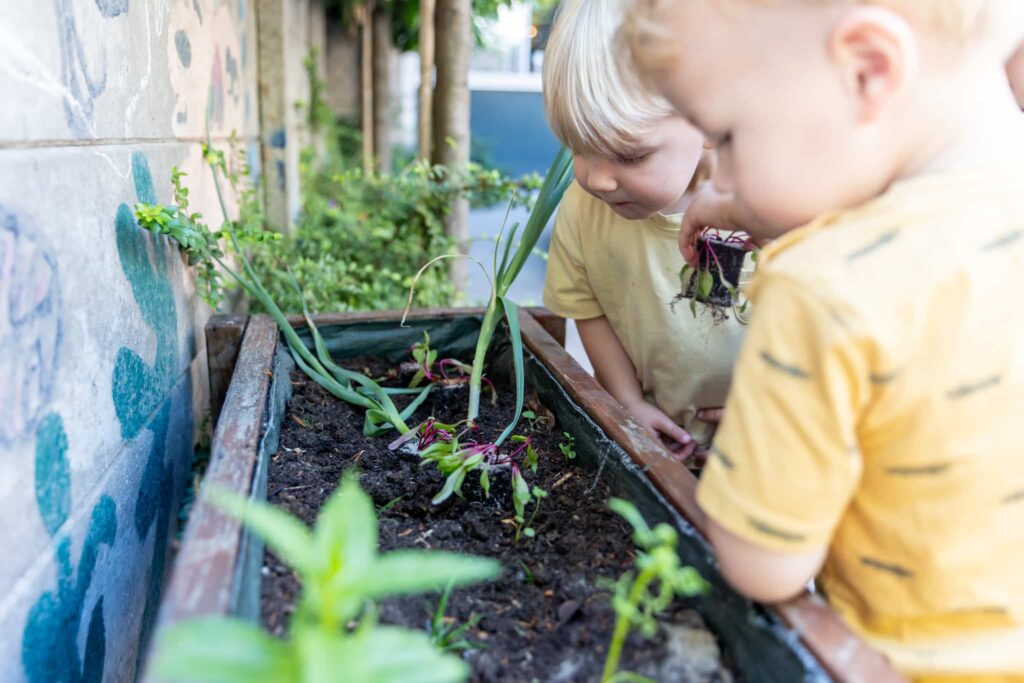 Kids And Carrots Kinderdagverblijf Moestuin Jongetjes